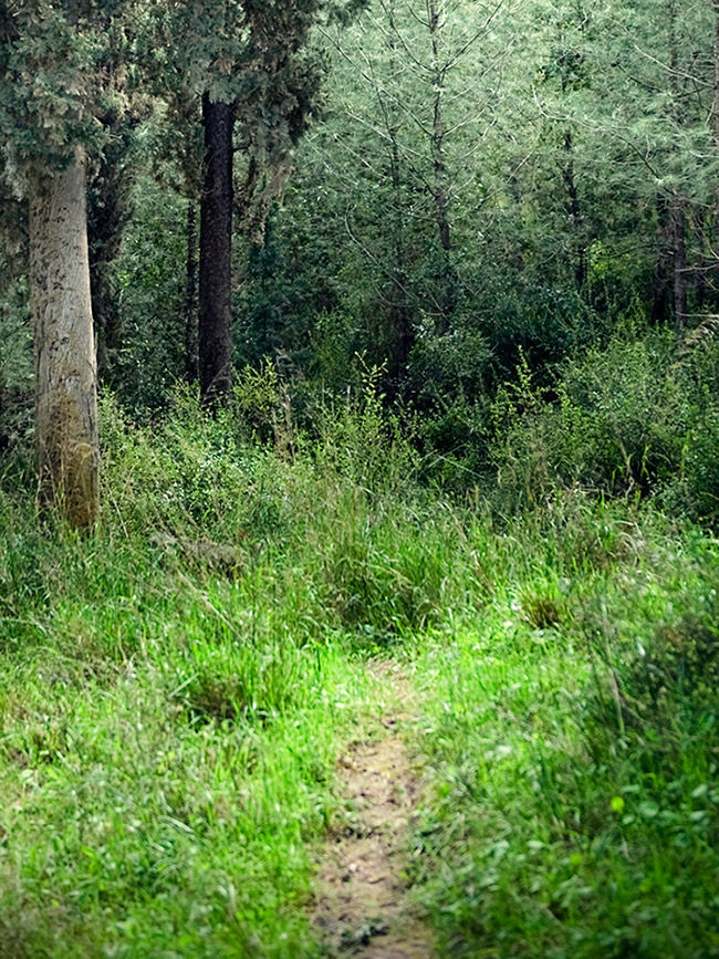 Pastor & Ministry Staff